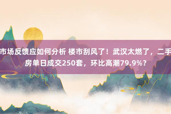 市场反馈应如何分析 楼市刮风了！武汉太燃了，二手房单日成交250套，环比高潮79.9%？