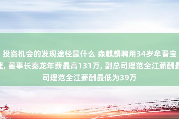 投资机会的发现途径是什么 森麒麟聘用34岁牟晋宝为副总司理, 董事长秦龙年薪最高131万, 副总司理范全江薪酬最低为39万