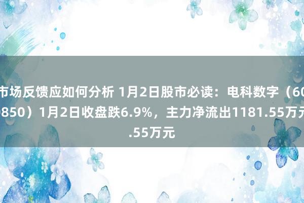 市场反馈应如何分析 1月2日股市必读：电科数字（600850）1月2日收盘跌6.9%，主力净流出1181.55万元