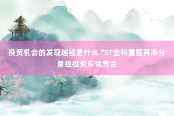 投资机会的发现途径是什么 *ST金科重整再添分量级投资东说念主