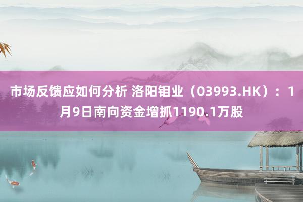 市场反馈应如何分析 洛阳钼业（03993.HK）：1月9日南向资金增抓1190.1万股