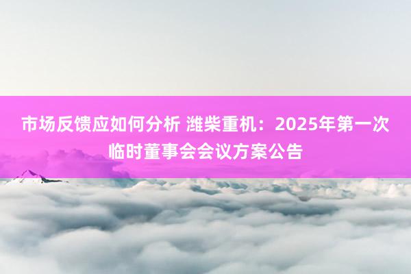 市场反馈应如何分析 潍柴重机：2025年第一次临时董事会会议方案公告