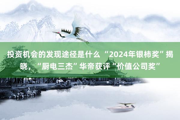 投资机会的发现途径是什么 “2024年银柿奖”揭晓，“厨电三杰”华帝获评“价值公司奖”