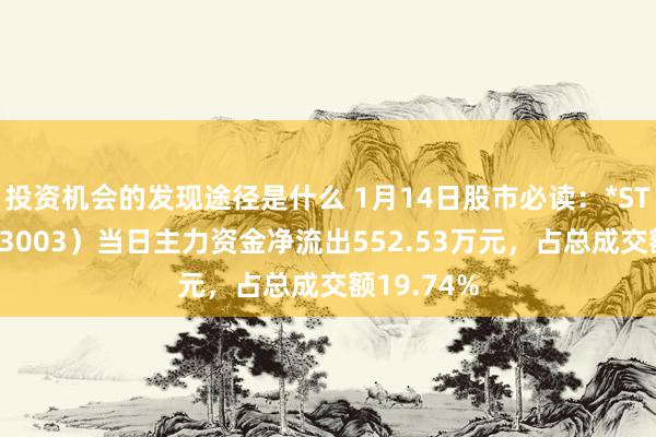 投资机会的发现途径是什么 1月14日股市必读：*ST龙宇（603003）当日主力资金净流出552.53万元，占总成交额19.74%