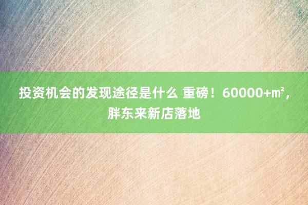 投资机会的发现途径是什么 重磅！60000+㎡，胖东来新店落地