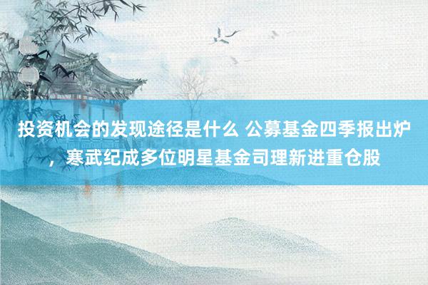 投资机会的发现途径是什么 公募基金四季报出炉，寒武纪成多位明星基金司理新进重仓股