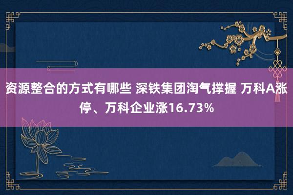 资源整合的方式有哪些 深铁集团淘气撑握 万科A涨停、万科企业涨16.73%