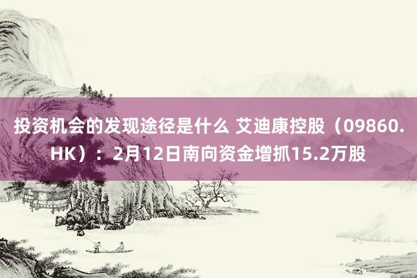 投资机会的发现途径是什么 艾迪康控股（09860.HK）：2月12日南向资金增抓15.2万股