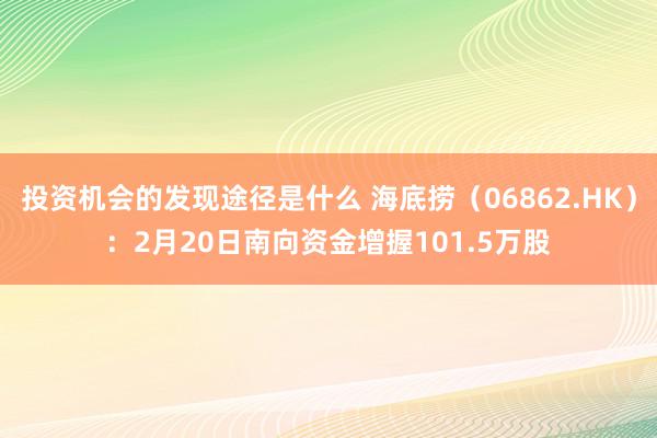 投资机会的发现途径是什么 海底捞（06862.HK）：2月20日南向资金增握101.5万股