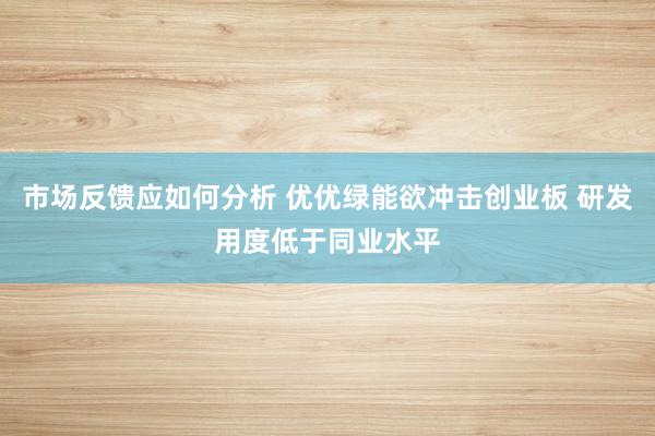 市场反馈应如何分析 优优绿能欲冲击创业板 研发用度低于同业水平