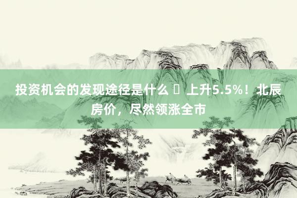 投资机会的发现途径是什么 ​上升5.5%！北辰房价，尽然领涨全市