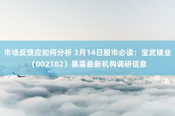 市场反馈应如何分析 3月14日股市必读：宝武镁业（002182）暴露最新机构调研信息